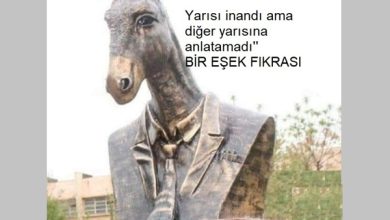 Bir Eşek Fıkrası