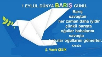 Barış Hemen Şimdi