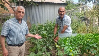 Gergerlioğlu, MARSİAD’ın projelerini inceledi!