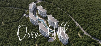 Zeray Dora Hill İzmit