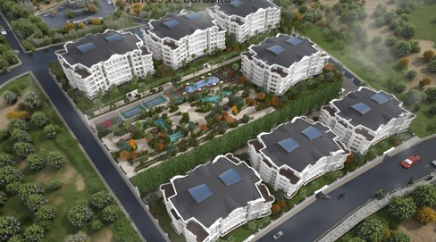 Zeray Güneşi Başiskele