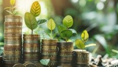 Bankalar ne kadar çevreci