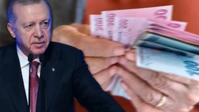 Emekli Maaşı Alan Çalışanlarda Son Durum