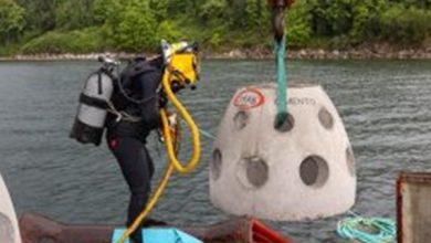 OYAK Çimento’dan Marmara Denizi’ne Ekolojik Katkı