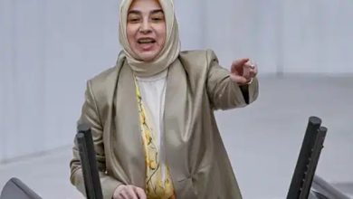 AKP’li Özlem Zengin’e göre emeklileri gündeme getirmek reyting ve tweet malzemesiymiş