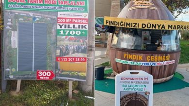 Dogal-Tarim-Hobi-tarlalari-1