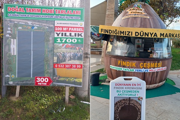 Dogal-Tarim-Hobi-tarlalari