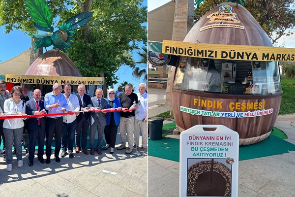 Findik-cesmesi-projesi