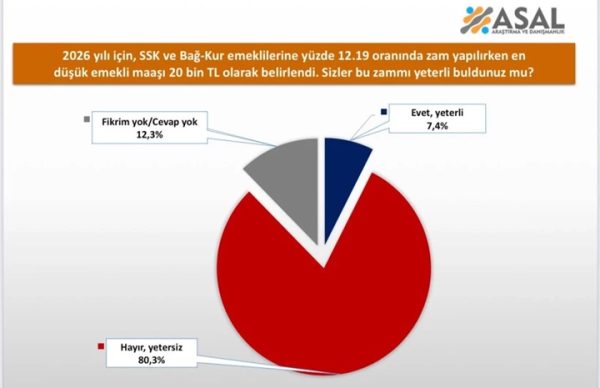 İşte ASAL'ın 'emekli maaşı anketi'nin sonuçları