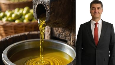 Türk Zeytinyağı İhracatı Tehdit Altında