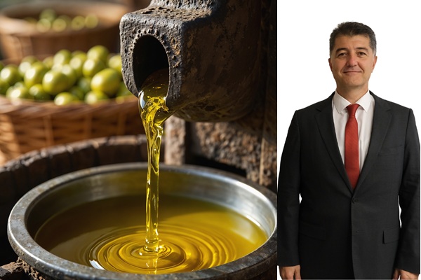 Türk Zeytinyağı İhracatı Tehdit Altında