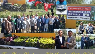 doğal tarım hasadı ve plaket töreni