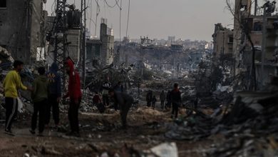 BİLİM İNSANLARINA ÇAĞRI