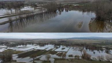 CHP’li Mustafa Yalçın “Tarıma Acil Müdahale Şart”