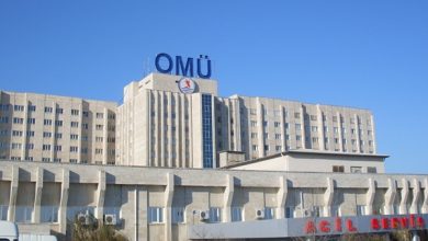 ondokuz mayıs üniversitesi