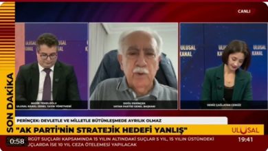 Doğu Perinçek'in Milli Dayanışma Kanun Teklifi Değerlendirmesi